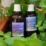 Natural extract of Spearmint (Mentha Viridis)