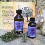 Natural extract of Thyme (Thymus Vulgaris)